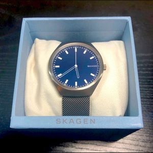 Skagen Grenen SKW6406 Titanium Steel-Mesh Watch